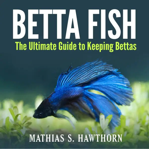 Betta Fish : The Ultimate Guide to Keeping Bettas