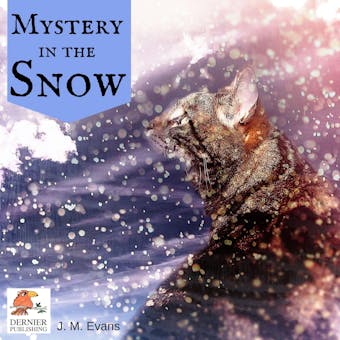 Mystery in the Snow - J. M. Evans