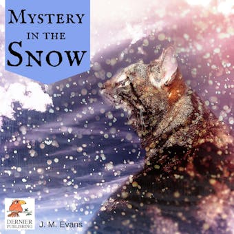 Mystery in the Snow