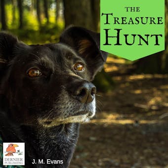 The Treasure Hunt - J. M. Evans
