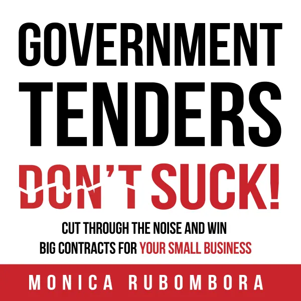 GOVERNMENT TENDERS (DON'T) SUCK! : 