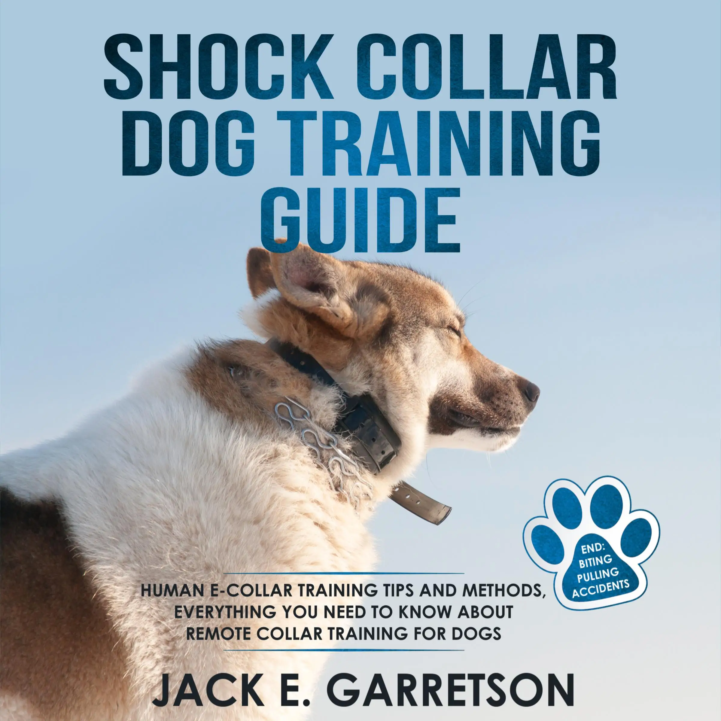 Shock collar training for biting outlet