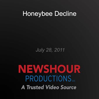 Honeybee Decline - PBS NewsHour