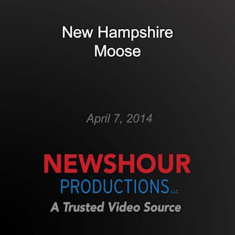 New Hampshire Moose - PBS NewsHour