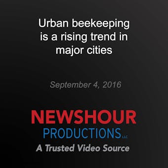 Urban beekeeping is a rising trend in major cities