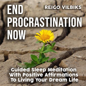 End Procrastination Now: Guided Sleep Meditation With Positive Affirmations To Living Your Dream Life - Reigo Vilbiks