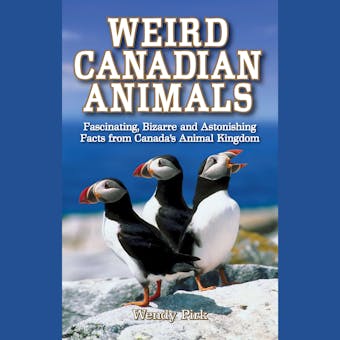 Weird Canadian Animals - undefined