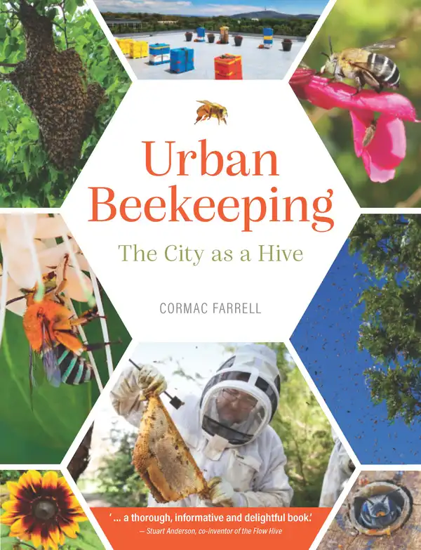 Urban Beekeeping : The city as a hive