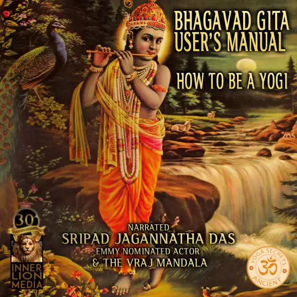 Bhagavad Gita User's Manual : How To Be A Yogi