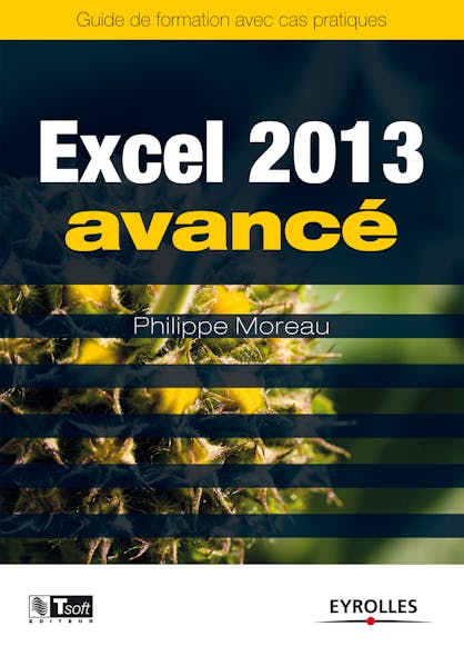 Excel 2013 - Avancé : Guide De Formation Avec Cas Pratiques