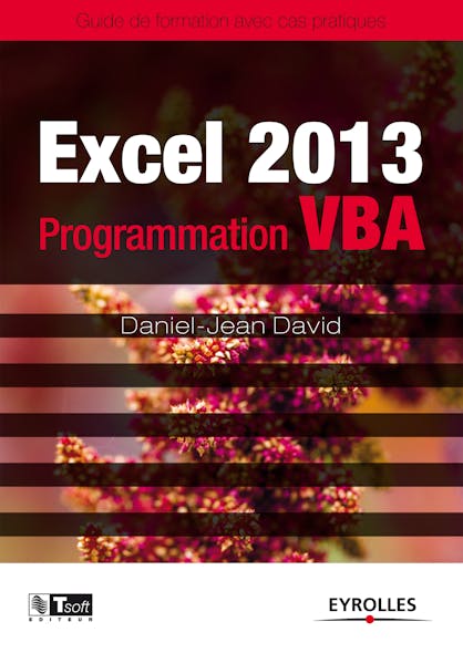 Excel 2013 - Programmation Vba : Guide De Formation Avec Cas Pratiques