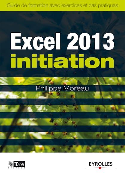 Excel 2013 - Initiation : Guide De Formation Avec Exercices Et Cas Pratiques