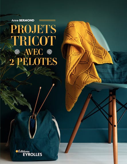 Projets Tricot Avec 2 Pelotes