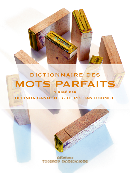 Dictionnaire Des Mots Parfaits
