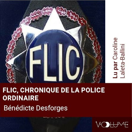 Flic, Chroniques De La Police Ordinaire