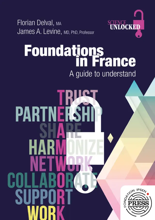 Foundations in France : A guide to understand