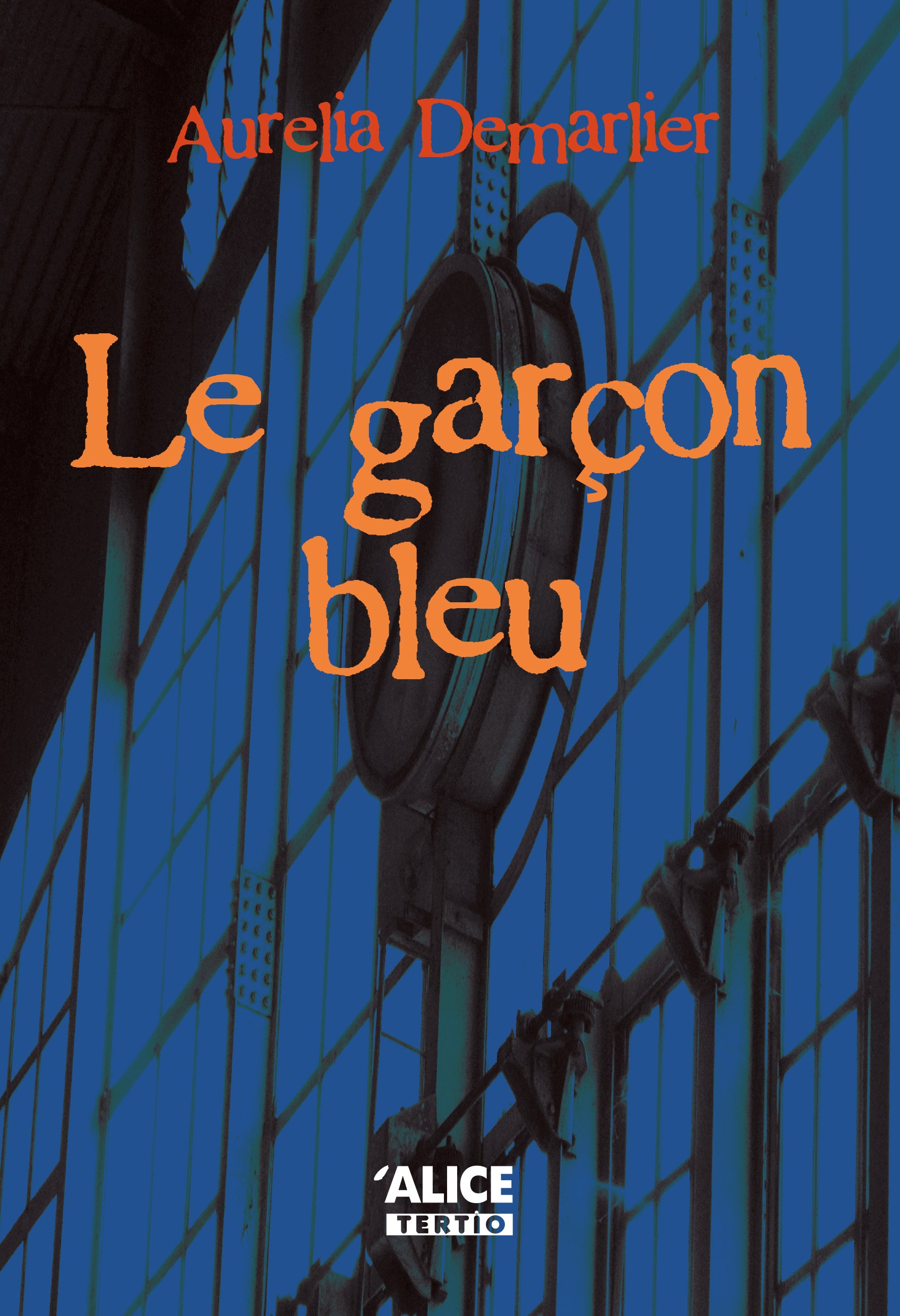 Le  garçon bleu : Roman jeunesse 10 ans et +