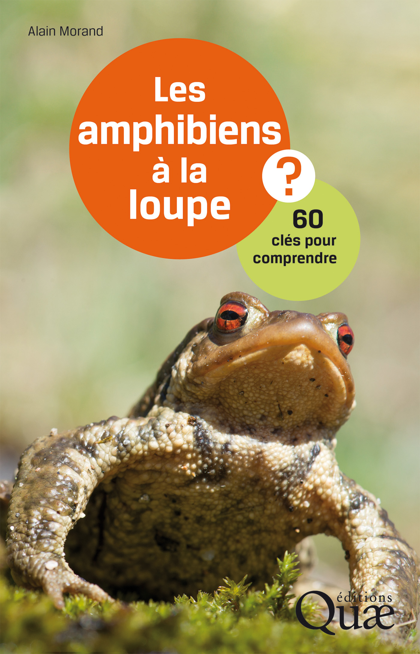 Les  amphibiens à la loupe : 60 clés pour comprendre