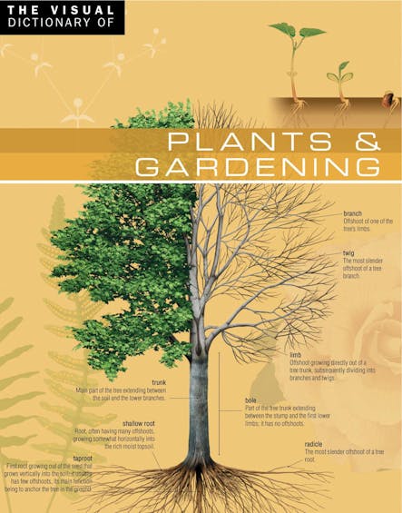 The Visual Dictionary Of Plants & Gardening : Plants & Gardening