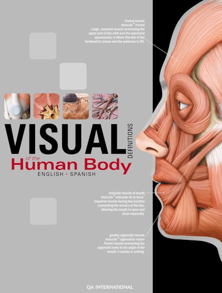 The Visual Dictionary Of The Human Body : English/Spanish