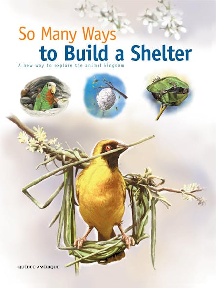 So Many Ways To Build A Shelter : A New Way To Explore The Animal Kingdom