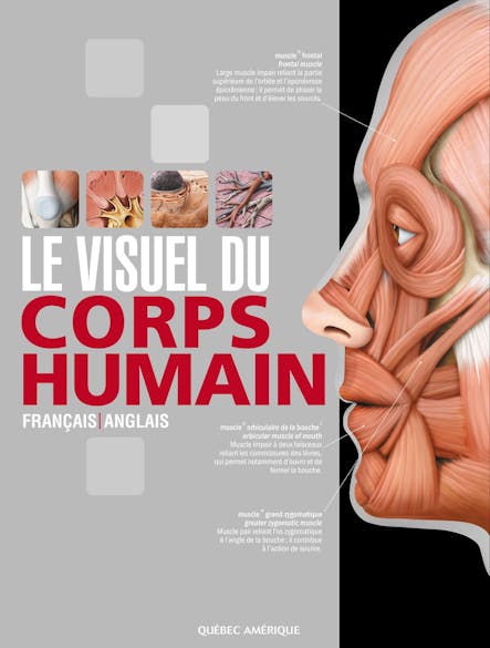 Le Visuel Du Corps Humain : Français/Anglais