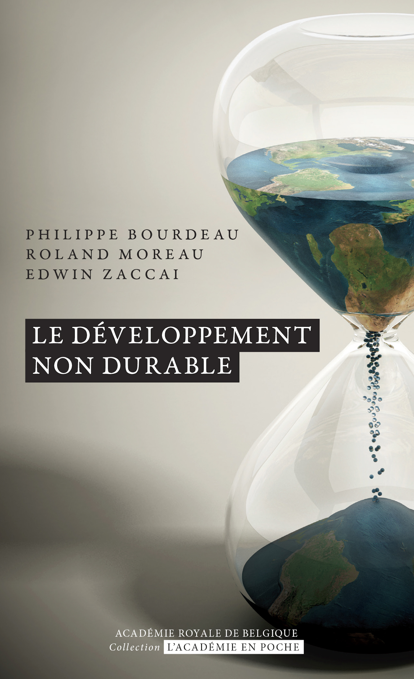 Le  développement non durable