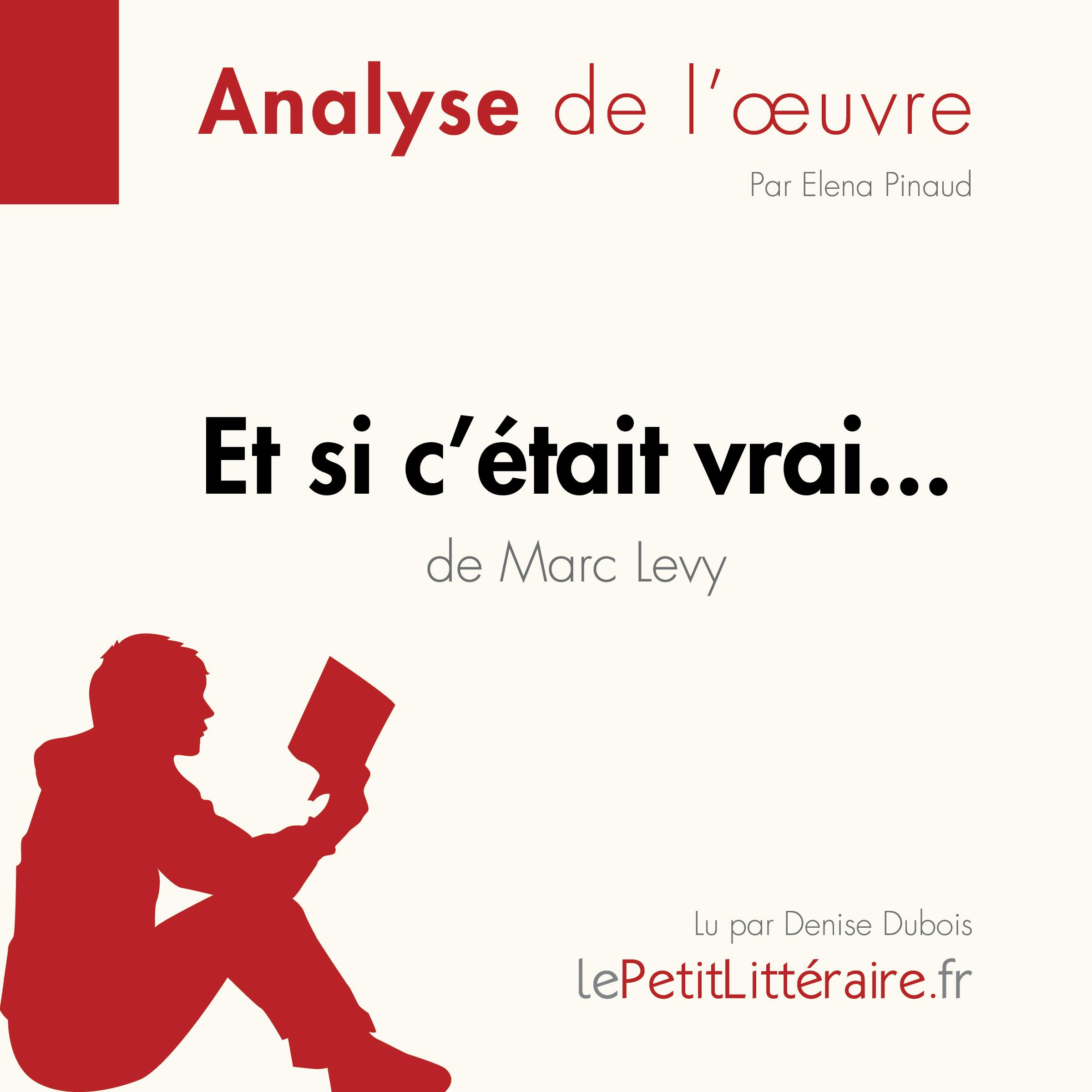 Et si c'était vrai... de Marc Levy (Analyse de l'oeuvre) | Elena Pinaud
