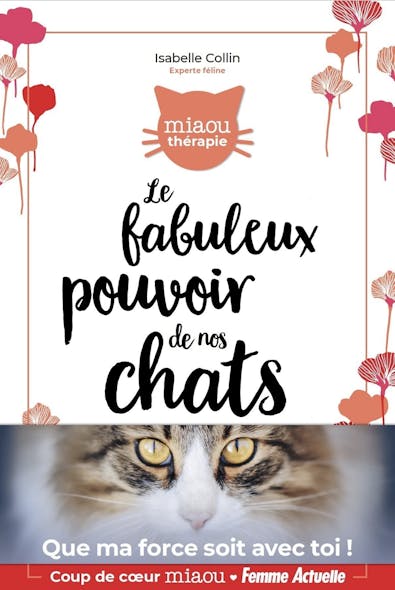 Le Fabuleux Pouvoir De Nos Chats