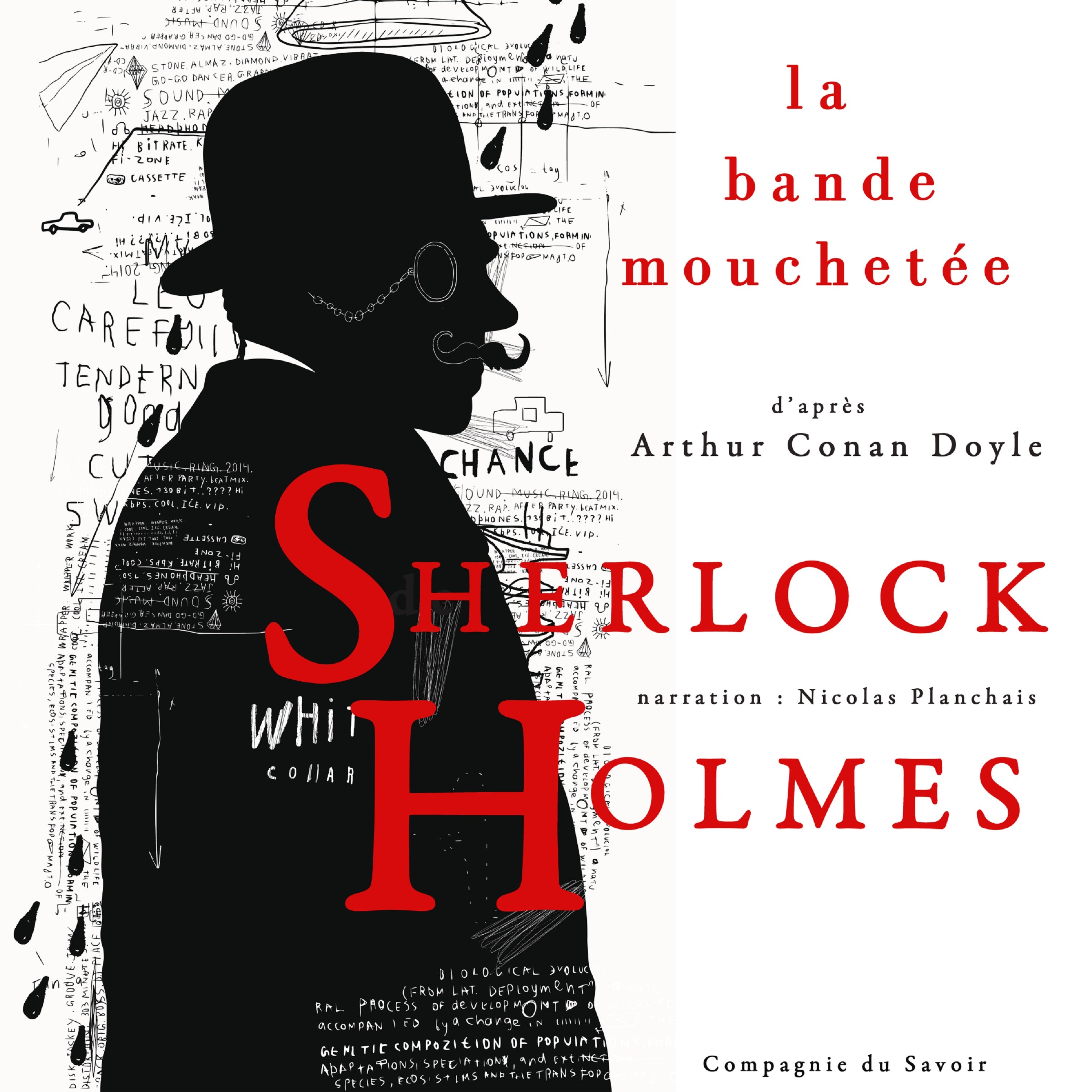 La  Bande mouchetée, Les enquêtes de Sherlock Holmes et du Dr Watson