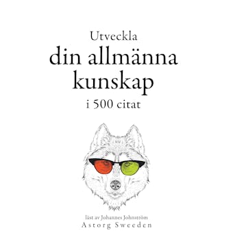 Utveckla din allmänna kunskap i 500 offerter: Samling av de bästa citat - Multiple Authors