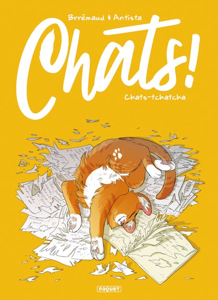 Chats T1  - Chats-Tchatcha