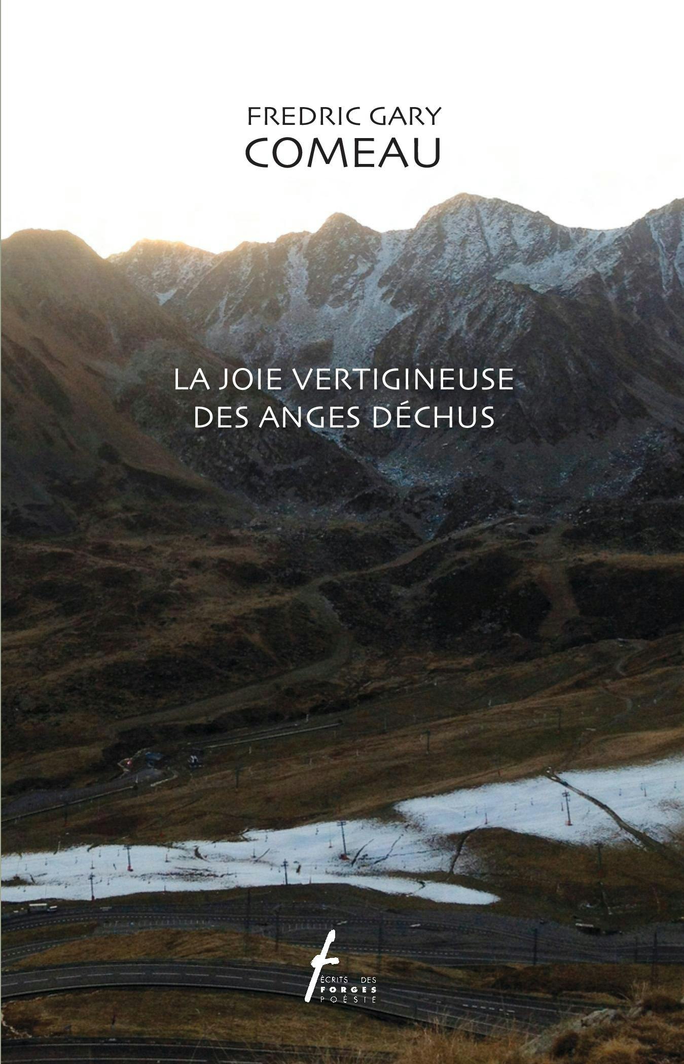La joie vertigineuse des anges déchus | Fredric Gary Comeau