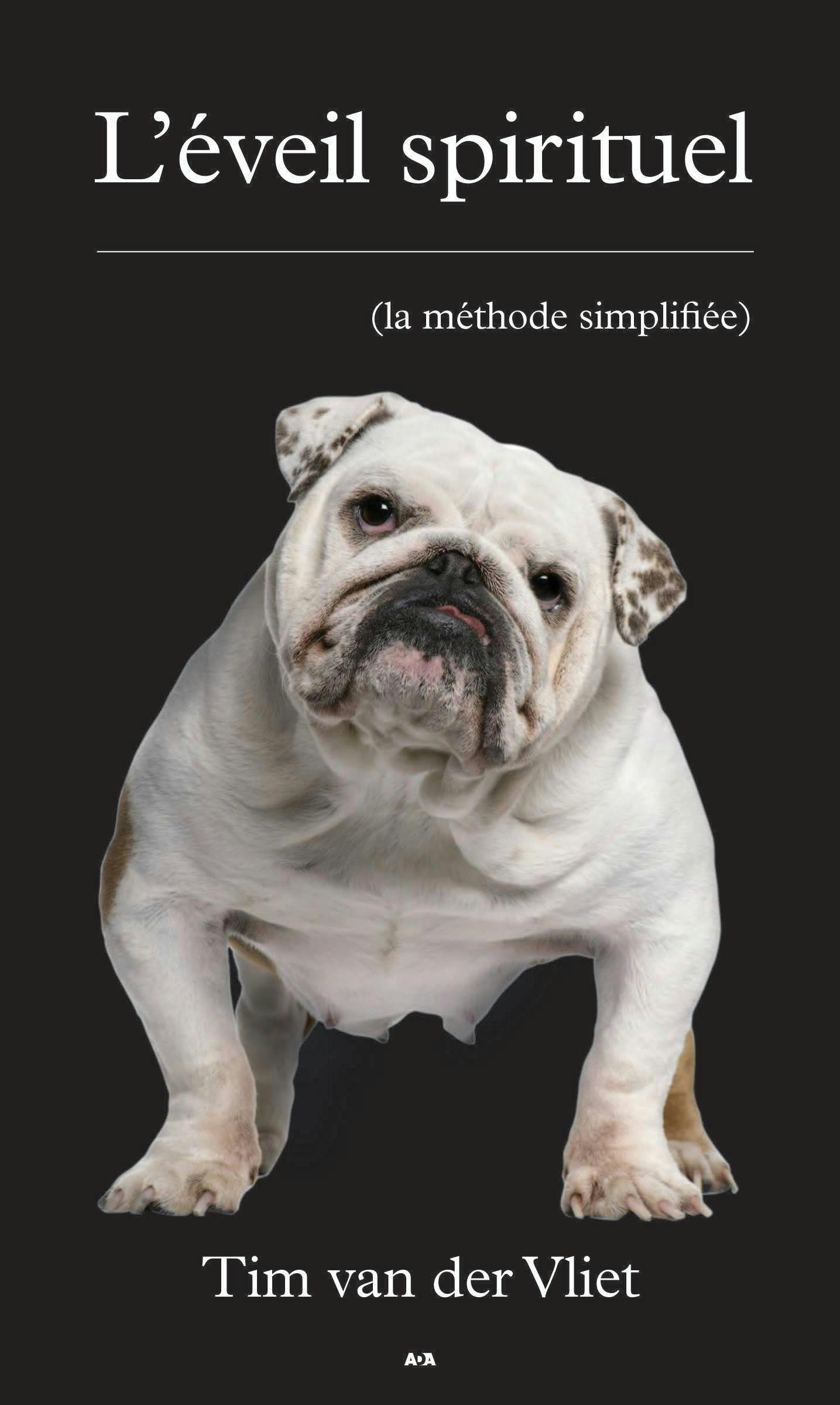 L’éveil spirituel : La méthode simplifiée | Tim van der Vliet