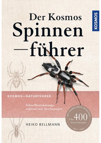 Der Kosmos Spinnenführer - Heiko Bellmann