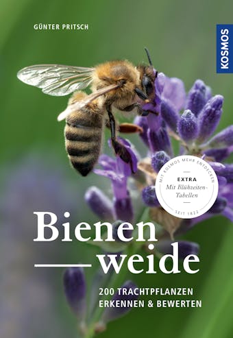 Bienenweide - GÃ¼nter Pritsch