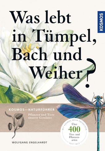 Was lebt in TÃ¼mpel, Bach und Weiher - Klaus Rehfeld, Peter Martin, Wolfgang Engelhardt