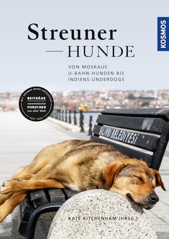 Streunerhunde - undefined