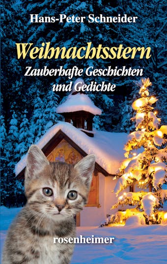 Weihnachtsstern - Zauberhafte Geschichten und Gedichte - Hans-Peter Schneider