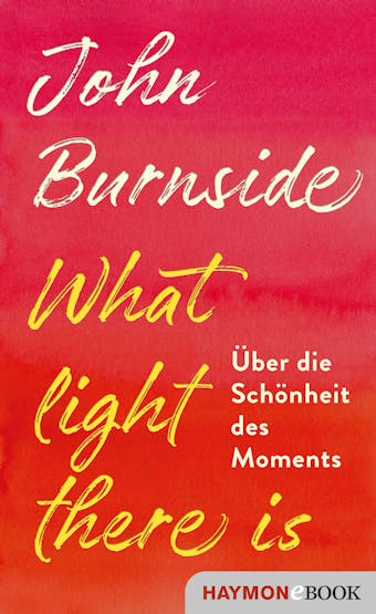 What light there is: Über die Schönheit des Moments - John Burnside