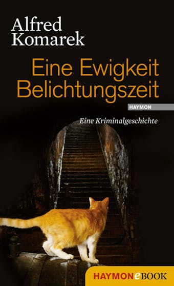 Eine Ewigkeit Belichtungszeit: Eine Kriminalgeschichte