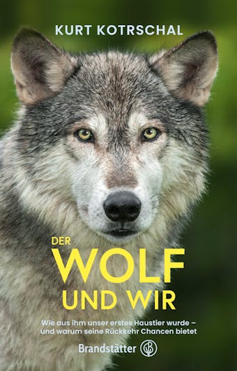 Der Wolf und wir: Wie aus ihm unser erstes Haustier wurde – und warum seine Rückkehr Chancen bietet - Kurt Kotrschal