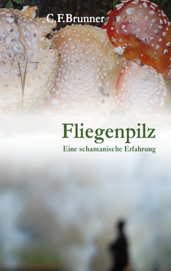 Fliegenpilz - Christian Friedrich Brunner