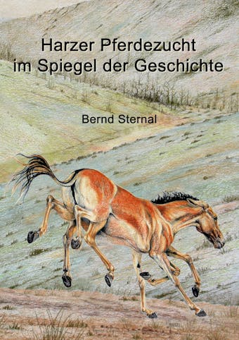 Harzer Pferdezucht im Spiegel der Geschichte - Bernd Sternal