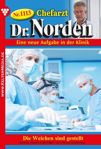 Chefarzt Dr. Norden 1113 – Arztroman: Die Weichen sind gestellt - undefined