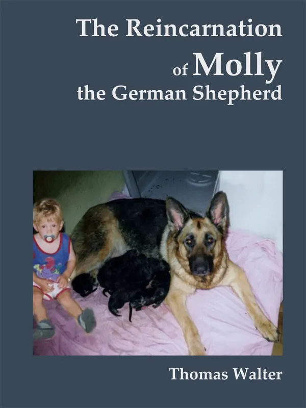 The reincarnation of Molly, the German Shepherd