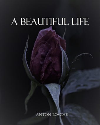 A Beautiful Life - undefined