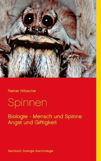 Spinnen - Rainar Nitzsche