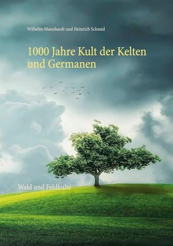 1000 Jahre Kult der Kelten und Germanen - Wilhelm Mannhardt, Heinrich Schmid