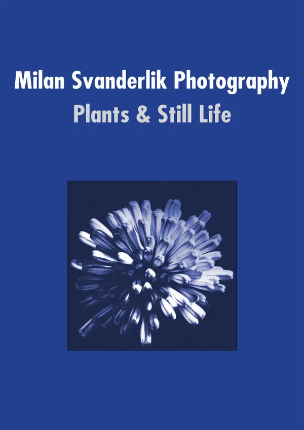 Milan Svanderlik Photography: : Plants and Still Life